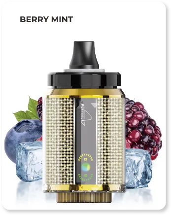 blackcurrant-ice