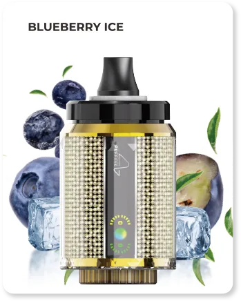 blueberry-ice